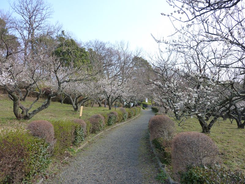 辻村植物公園 Zeniの趣味と訪問地